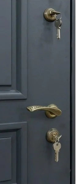 Дверь модуль — фото 3